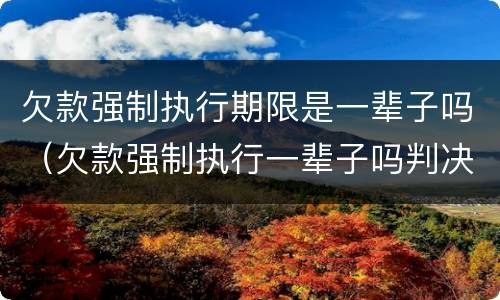 欠款强制执行期限是一辈子吗（欠款强制执行一辈子吗判决书不执行几年失效）