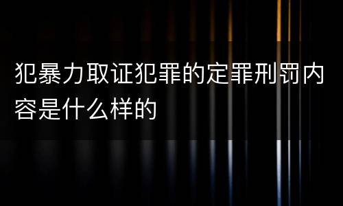 犯暴力取证犯罪的定罪刑罚内容是什么样的