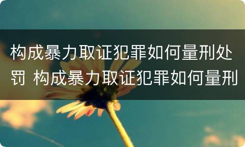 构成暴力取证犯罪如何量刑处罚 构成暴力取证犯罪如何量刑处罚