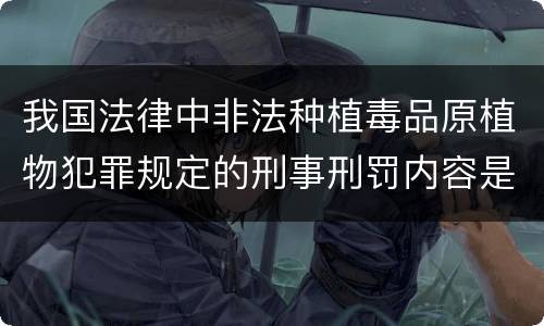 我国法律中非法种植毒品原植物犯罪规定的刑事刑罚内容是怎样的