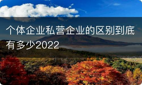 个体企业私营企业的区别到底有多少2022