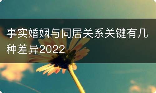 事实婚姻与同居关系关键有几种差异2022