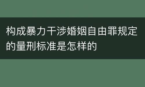 构成暴力干涉婚姻自由罪规定的量刑标准是怎样的