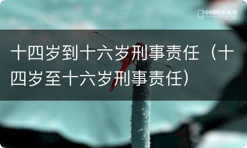 十四岁到十六岁刑事责任（十四岁至十六岁刑事责任）