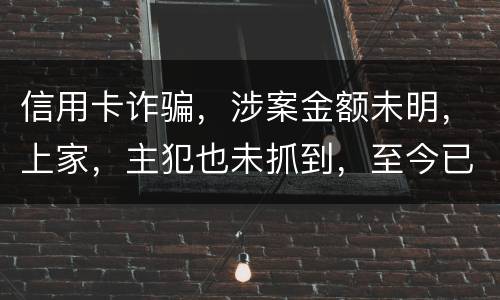 信用卡诈骗，涉案金额未明，上家，主犯也未抓到，至今已有5天，请问可以申请取保吗