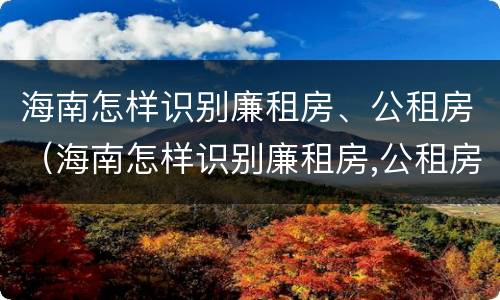 海南怎样识别廉租房、公租房（海南怎样识别廉租房,公租房呢）