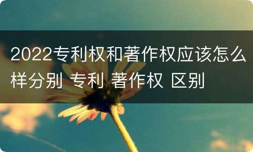 2022专利权和著作权应该怎么样分别 专利 著作权 区别