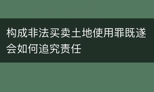 构成非法买卖土地使用罪既遂会如何追究责任