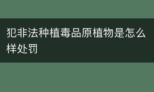 犯非法种植毒品原植物是怎么样处罚