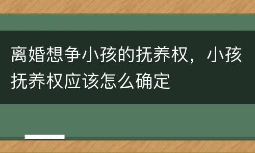 离婚想争小孩的抚养权，小孩抚养权应该怎么确定