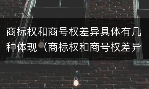 商标权和商号权差异具体有几种体现（商标权和商号权差异具体有几种体现方法）