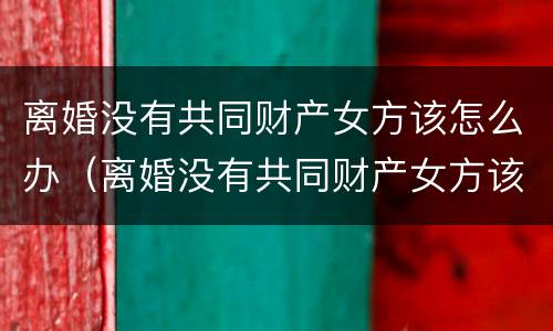 离婚没有共同财产女方该怎么办（离婚没有共同财产女方该怎么办理）